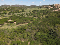 Regiões da Caatinga foram identificadas como áreas críticas, com perda significativa de cobertura vegetal e maior exposição às secas severas