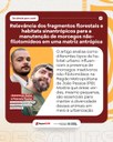 Artigo Jeanneson.jpeg