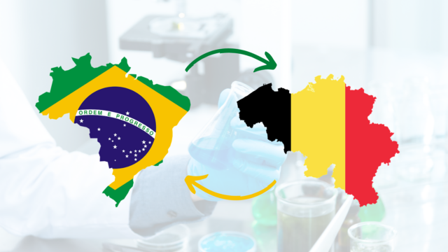 brasil-e-belgica-640x360.png