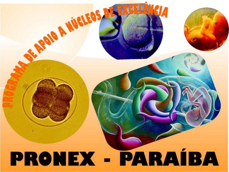 Banner PRONEX.jpg