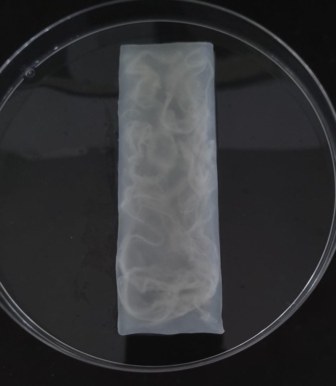 WhatsApp Image 2025-08-19 at 11.03.08.jpeg