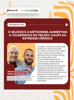 O silício e a metionina aumentam a tolerância do feijão-caupi ao estresse hídrico