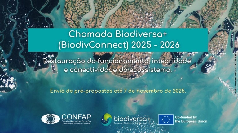 Chamada-BiodivConnect-2025-2026-_-site-1536x864.jpg Chamada-BiodivConnect-2025-2026-_-site-1536x864.jpg