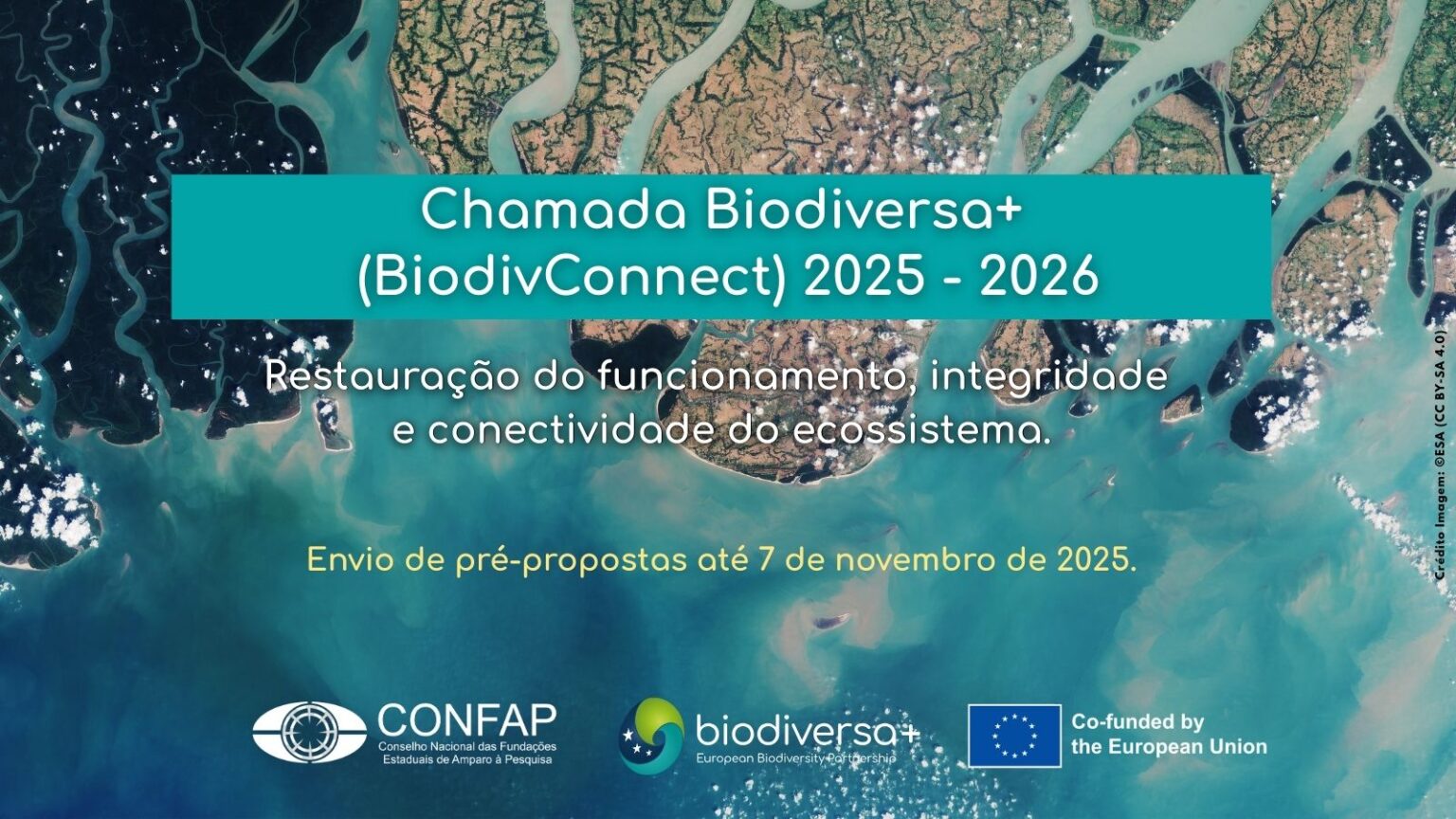 Chamada-BiodivConnect-2025-2026-_-site-1536x864.jpg