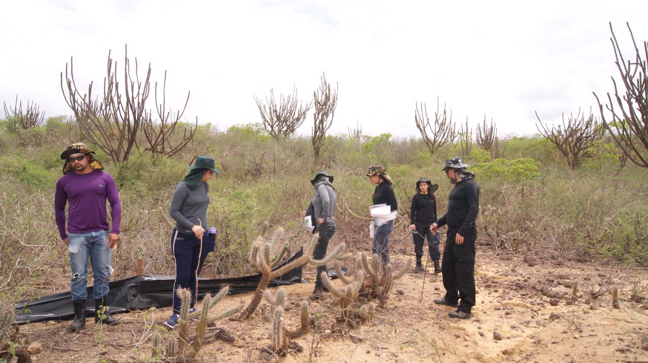 2021.06.20 - A União - Répteis e anfíbios na caatinga - 07.jpeg