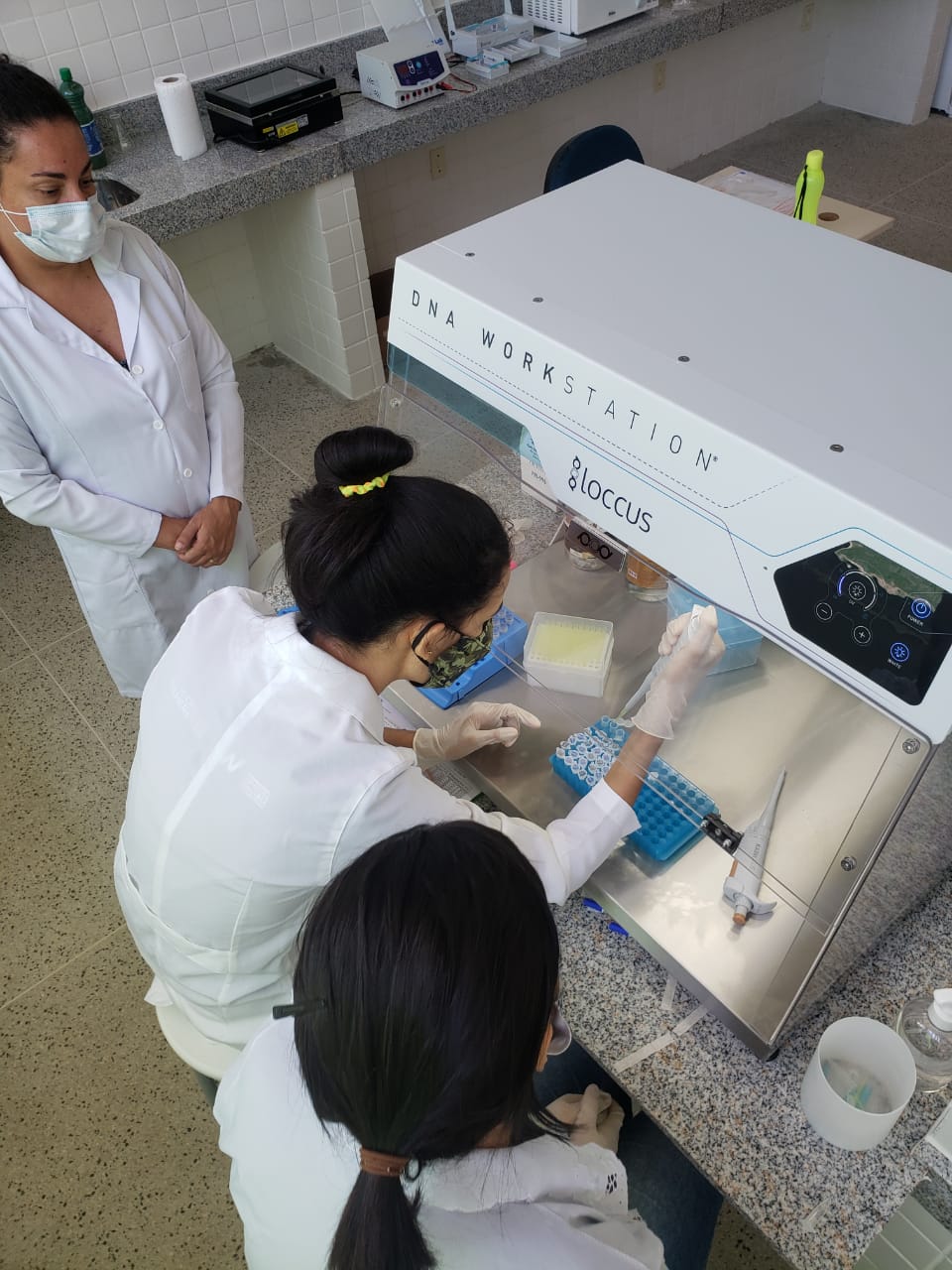 Pesquisa no laboratório _Foto Dhieggo Nascimento.jpg