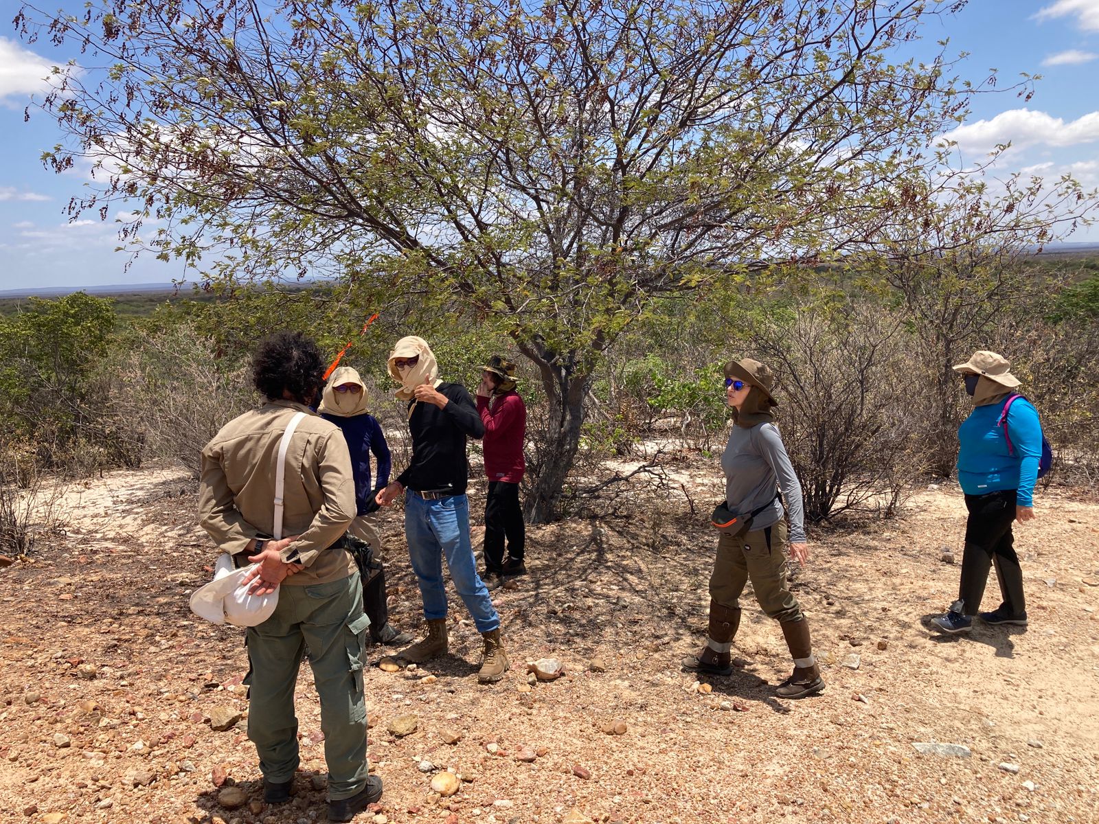 2023.10.29 - A União - Pesquisa sobre a caatinga - 01.jpeg