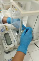 O projeto apresenta potencial de gerar informações inéditas com elevado impacto para o desenvolvimento científico na área de biomarcadores microbiológicos