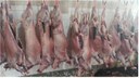 Foto carne cordeiros.jpg