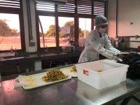 Os projetos contaram com investimento de R$ 700 mil da Capes e do Governo do Estado, por meio da Fapesq