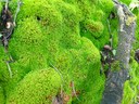 IMG_20230623_100813.jpg