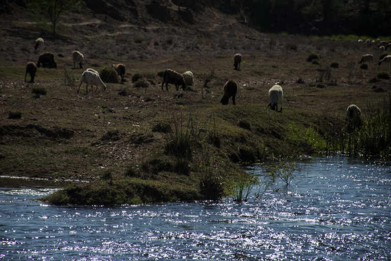 Cópia de manodecarvalho-Congo-águas da Transposição no rio Paraíba.JPG