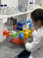 Investimento subsidiou a capacitação de recursos humanos e proporcionou a geração de conhecimentos inéditos
