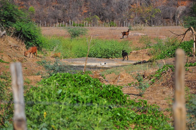 Foto-Mano de Carvalho-Rio PB seco na zona rural de Camalau.JPG