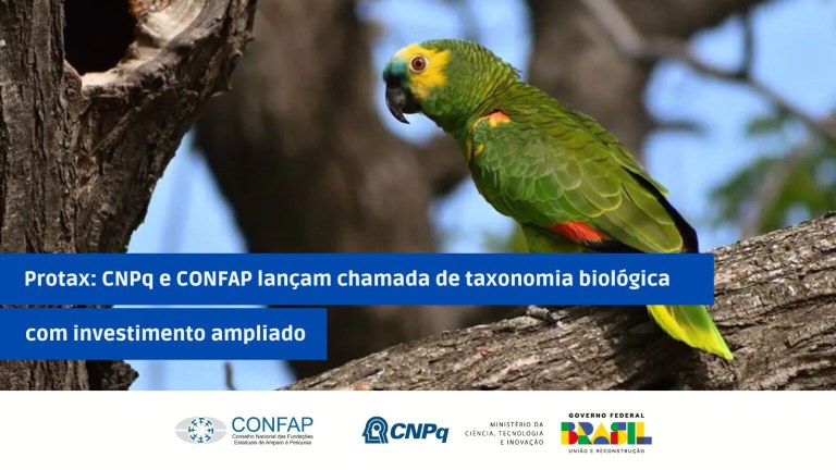 Protax-CNPq-e-CONFAP-lancam-chamada-de-taxonomia-biologica-com-investimento-ampliado-1536x864.jpg