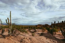 Exemplo de imagem em desertificação. Foto: CTERSA.