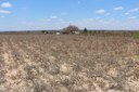 Desertificação - INSA.jpeg