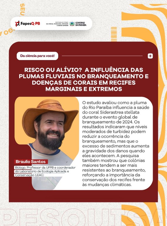Artigo Bráulio.jpg