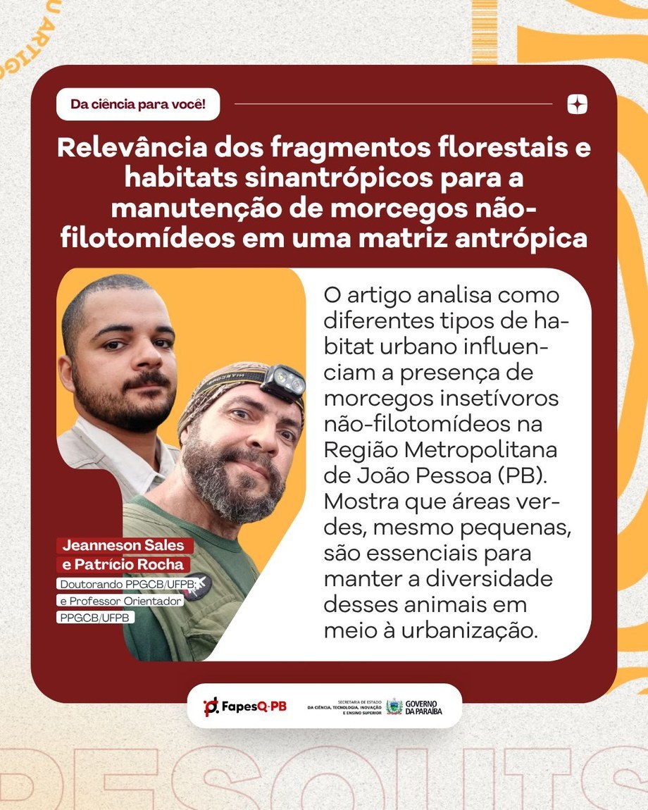Estudo pioneiro na Paraíba reforça a importância da vegetação em áreas urbanizadas para manutenção da diversidade funcional de morcegos insetívoros