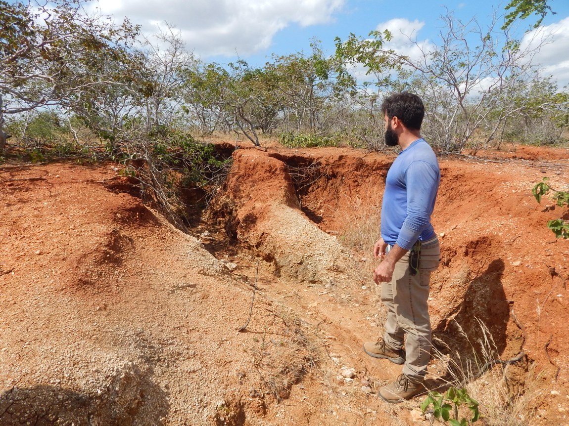 Governo investe mais de R$ 3 milhões em pesquisas para combater a desertificação na Paraíba